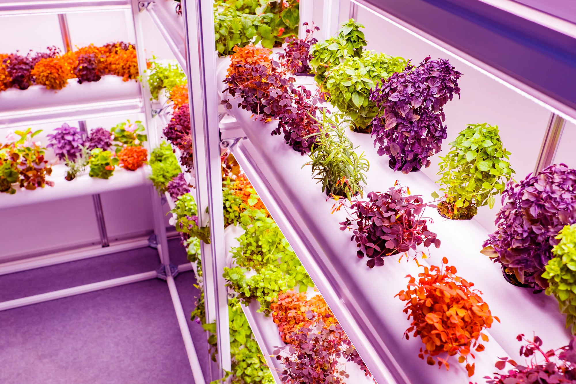 Active grow led high cri other led example.