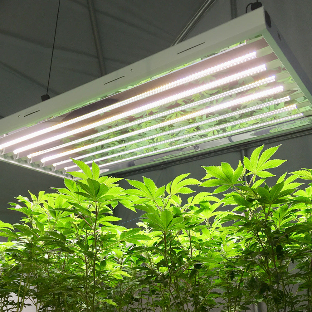 Active grow t5 ho led grow lamp spectrums.
