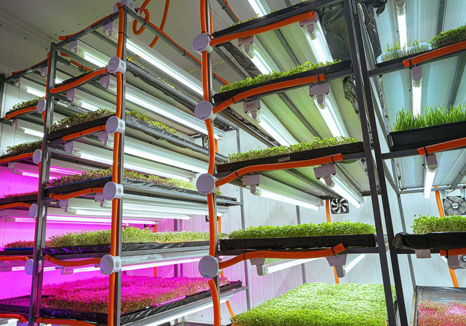 Active grow t8 ho led grow lamp spectrums.